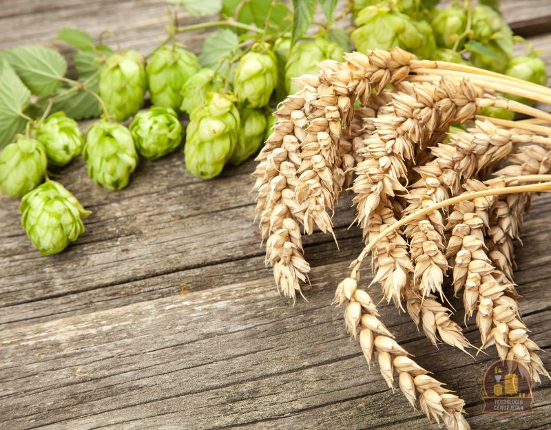 MDULO II  Produo (244h)