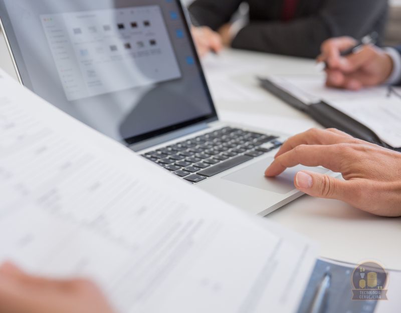 MDULO IV  Gesto para a Produo de Cervejas. (16h)