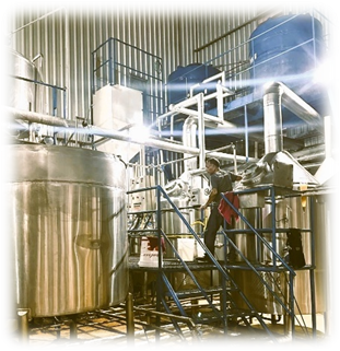 CHOPP BOREAL Tecnologia Cervejeira UNESP Araraquara